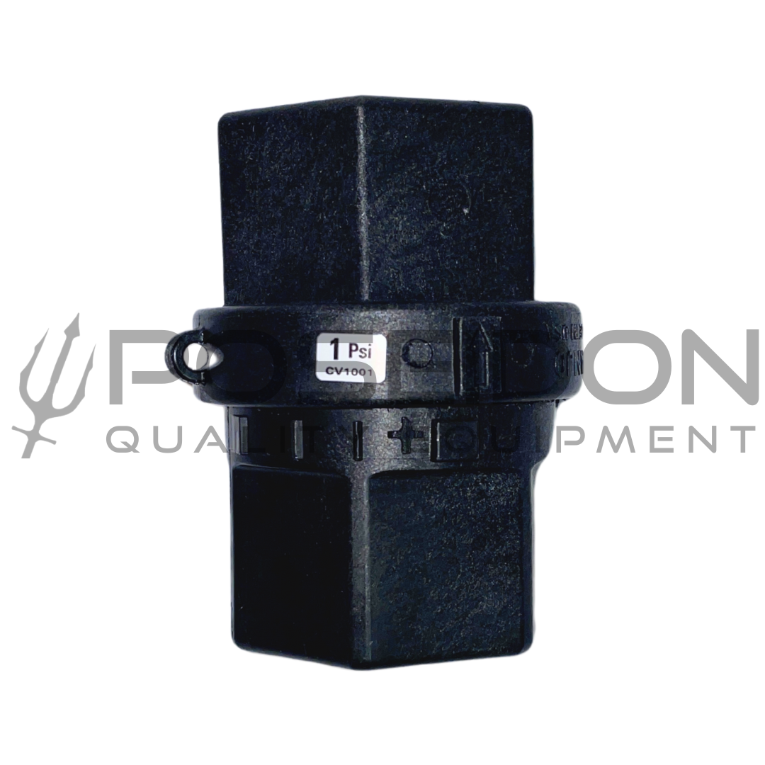 1 inch FNPT POLY Check Valve