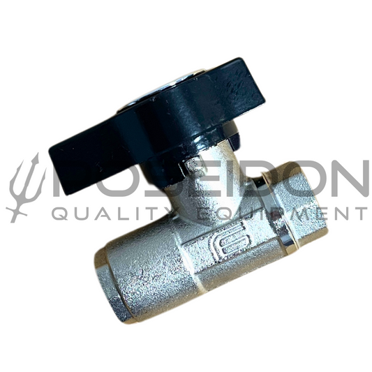 DN10 Ball Valve 3/8 FPT Nickel Plated